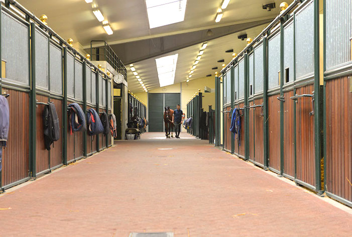 Bisharat Stables